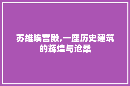 苏维埃宫殿,一座历史建筑的辉煌与沧桑