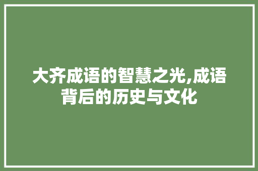 大齐成语的智慧之光,成语背后的历史与文化