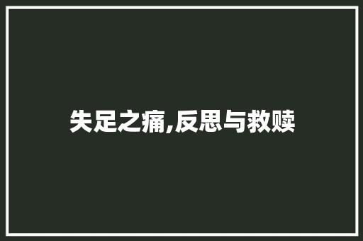 失足之痛,反思与救赎