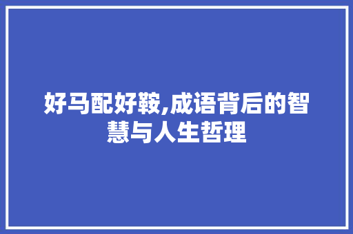 好马配好鞍,成语背后的智慧与人生哲理
