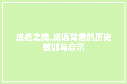 成疮之痛,成语背后的历史教训与启示