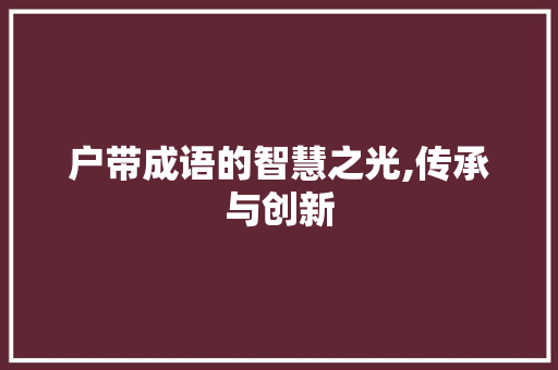 户带成语的智慧之光,传承与创新
