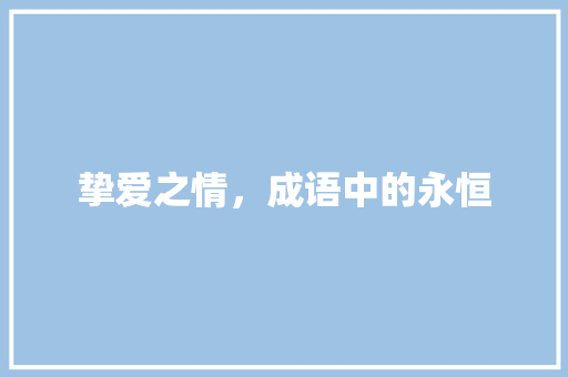 挚爱之情，成语中的永恒