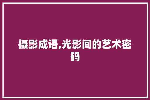 摄影成语,光影间的艺术密码