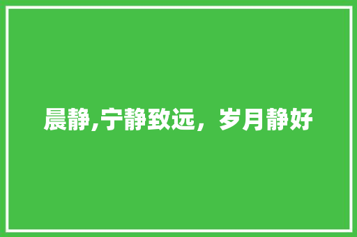 晨静,宁静致远，岁月静好