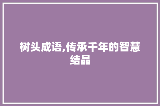树头成语,传承千年的智慧结晶