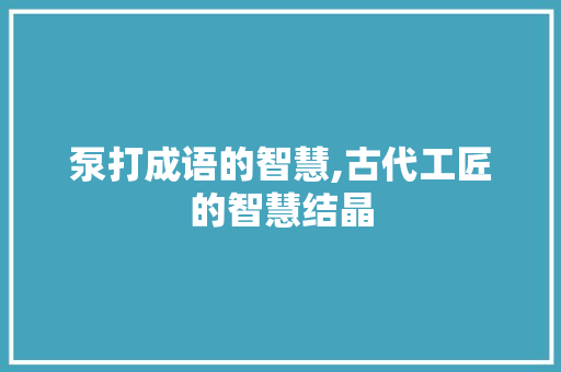 泵打成语的智慧,古代工匠的智慧结晶