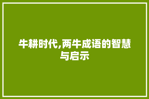 牛耕时代,两牛成语的智慧与启示