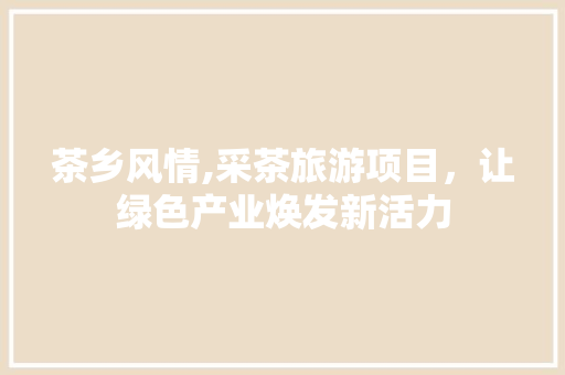 茶乡风情,采茶旅游项目，让绿色产业焕发新活力