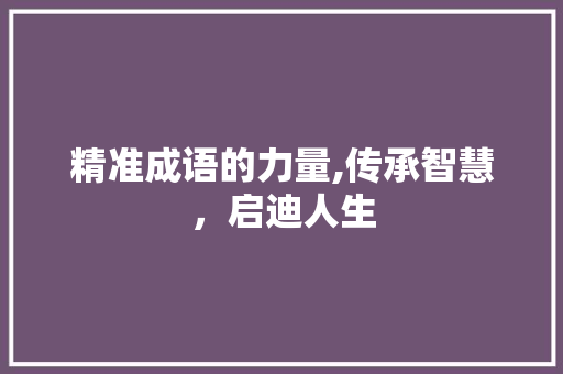精准成语的力量,传承智慧，启迪人生