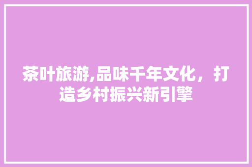 茶叶旅游,品味千年文化，打造乡村振兴新引擎