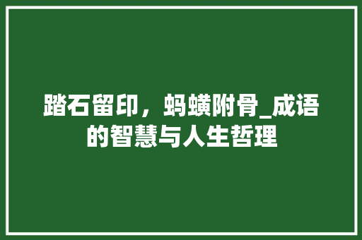 踏石留印，蚂蟥附骨_成语的智慧与人生哲理 诗词佳句