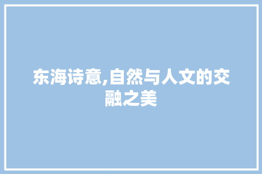 东海诗意,自然与人文的交融之美