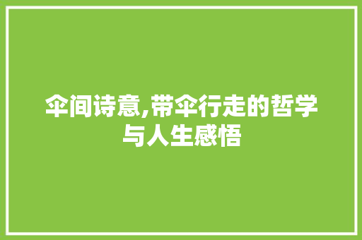 伞间诗意,带伞行走的哲学与人生感悟