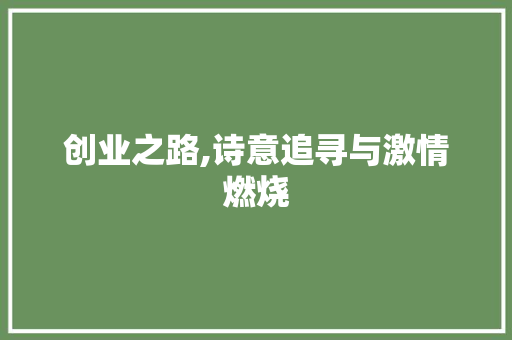 创业之路,诗意追寻与激情燃烧