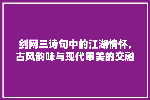 剑网三诗句中的江湖情怀,古风韵味与现代审美的交融