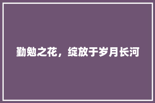 勤勉之花，绽放于岁月长河