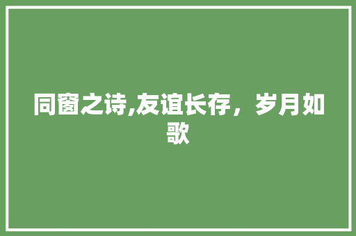同窗之诗,友谊长存，岁月如歌