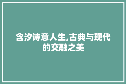 含汐诗意人生,古典与现代的交融之美