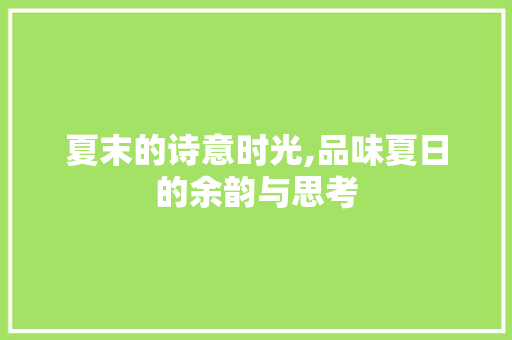 夏末的诗意时光,品味夏日的余韵与思考 成语汇编