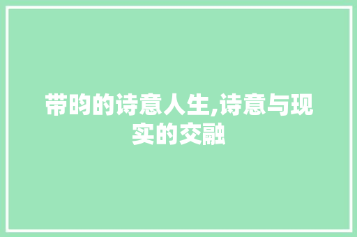 带昀的诗意人生,诗意与现实的交融