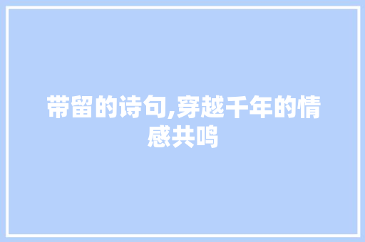 带留的诗句,穿越千年的情感共鸣