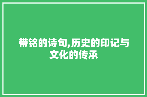 带铭的诗句,历史的印记与文化的传承