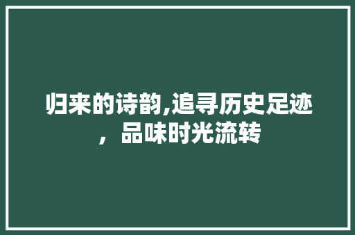 归来的诗韵,追寻历史足迹，品味时光流转