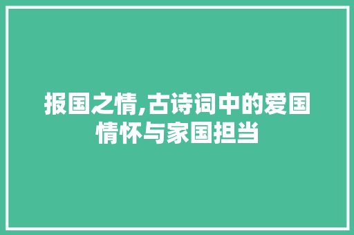 报国之情,古诗词中的爱国情怀与家国担当