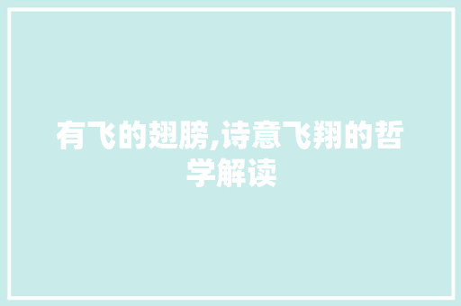 有飞的翅膀,诗意飞翔的哲学解读