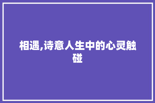 相遇,诗意人生中的心灵触碰