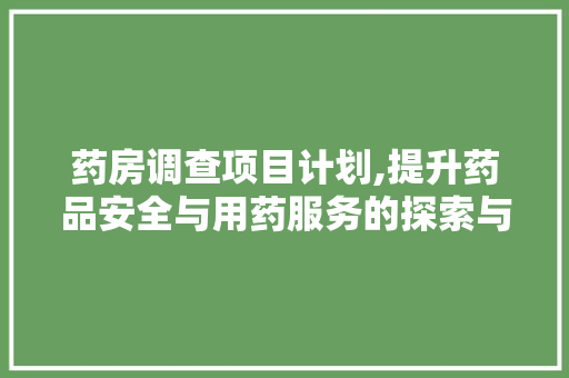 药房调查项目计划,提升药品安全与用药服务的探索与方法