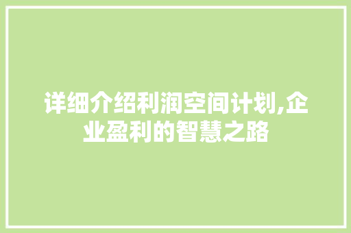 详细介绍利润空间计划,企业盈利的智慧之路