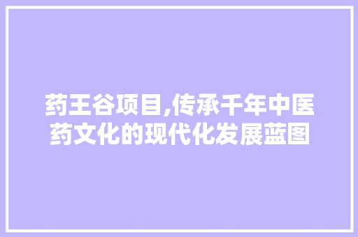 药王谷项目,传承千年中医药文化的现代化发展蓝图