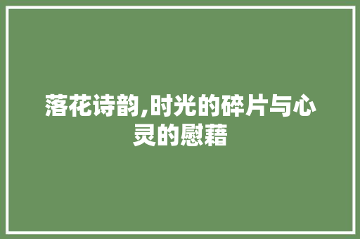 落花诗韵,时光的碎片与心灵的慰藉