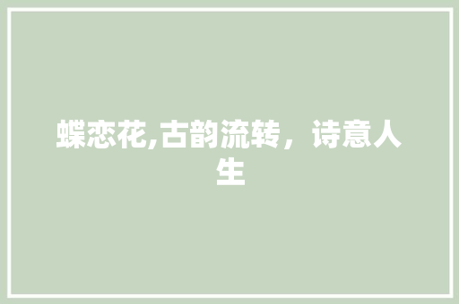蝶恋花,古韵流转，诗意人生