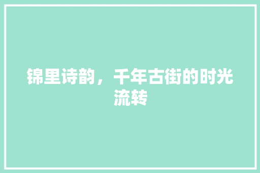 锦里诗韵，千年古街的时光流转