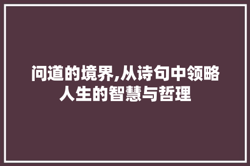 问道的境界,从诗句中领略人生的智慧与哲理