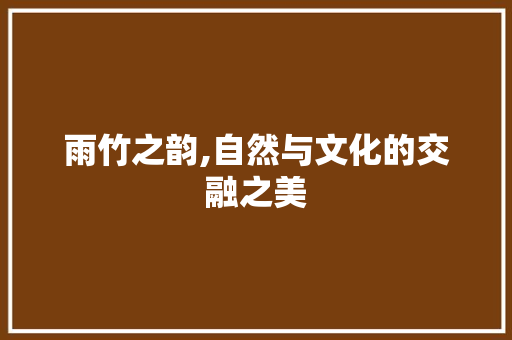 雨竹之韵,自然与文化的交融之美