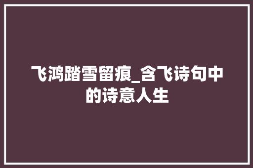 飞鸿踏雪留痕_含飞诗句中的诗意人生