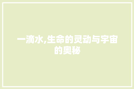 一滴水,生命的灵动与宇宙的奥秘