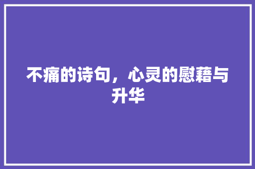 不痛的诗句，心灵的慰藉与升华