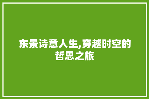 东景诗意人生,穿越时空的哲思之旅