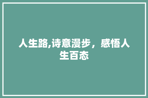 人生路,诗意漫步，感悟人生百态