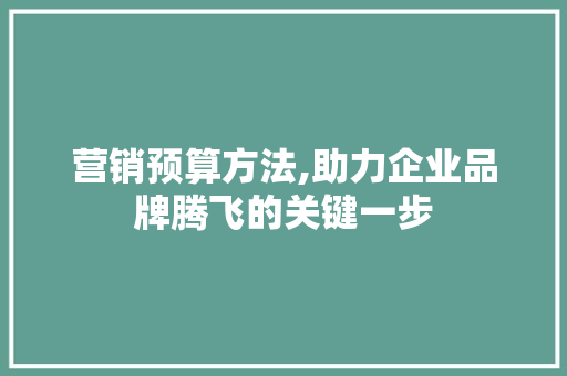 营销预算方法,助力企业品牌腾飞的关键一步