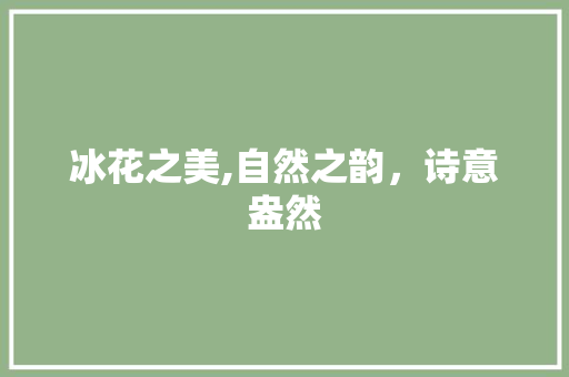 冰花之美,自然之韵，诗意盎然