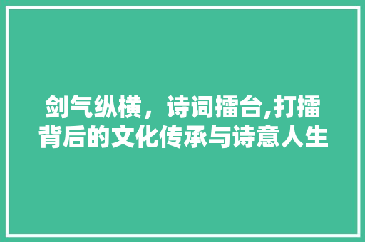 剑气纵横，诗词擂台,打擂背后的文化传承与诗意人生