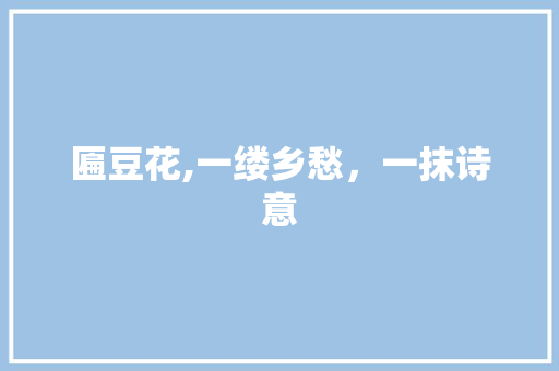 匾豆花,一缕乡愁，一抹诗意