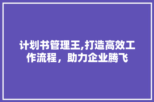 计划书管理王,打造高效工作流程，助力企业腾飞