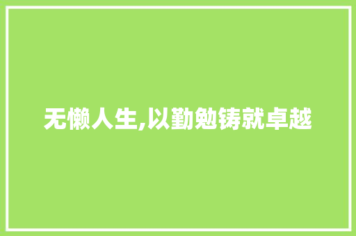 无懒人生,以勤勉铸就卓越